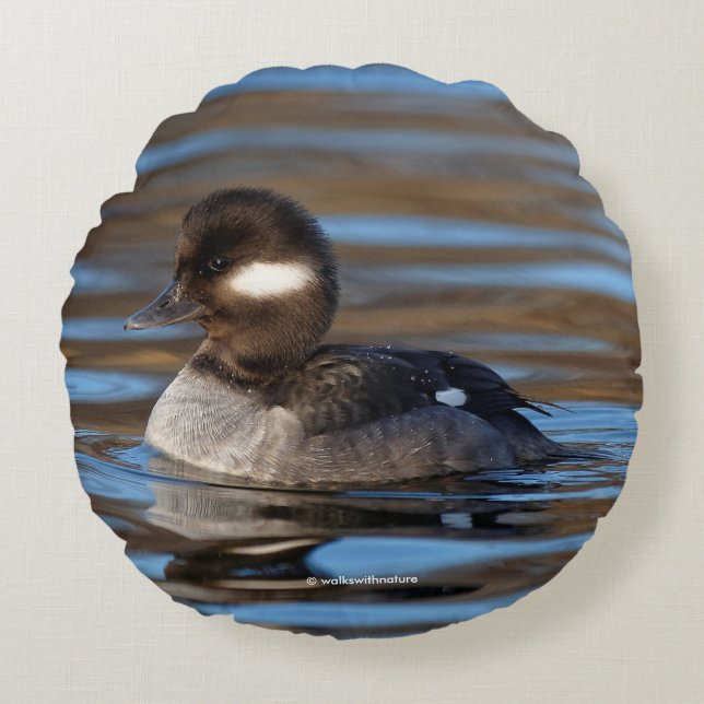 Cute Bufflehead Duck on Sunlit Waters Round Pillow (Front)