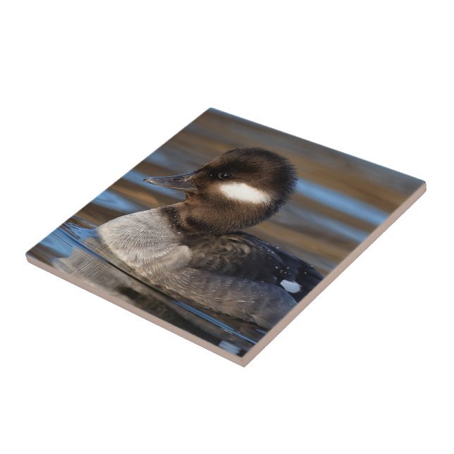 Cute Bufflehead Duck on Sunlit Waters Tile (Side)