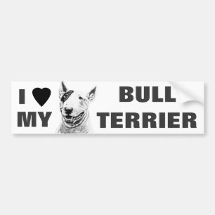 Cute Bull Terrier dog art Bumper Sticker