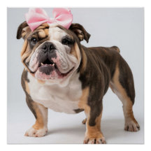 Cute Bulldog Dog Poster Wall Art