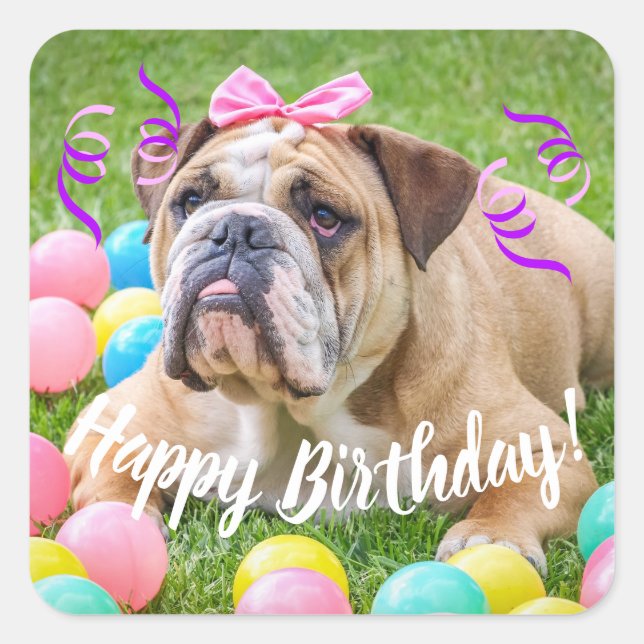Cute Bulldog Happy Birthday Square Sticker (Front)