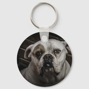 Cute Bulldog Keychain