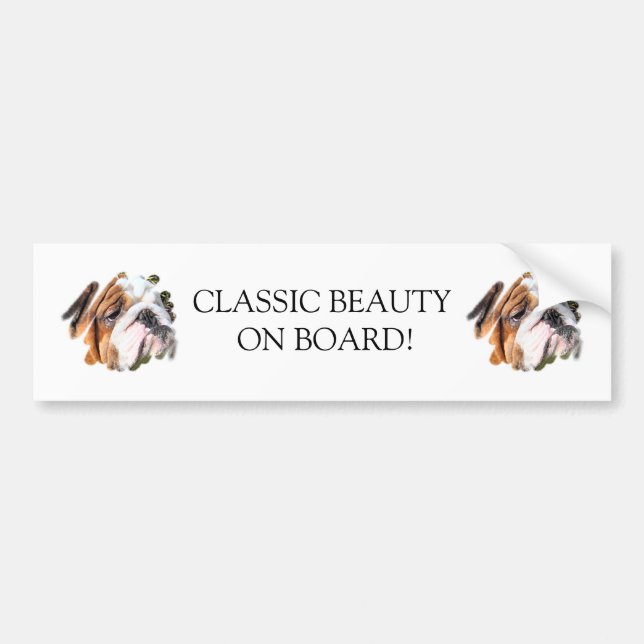 Cute Bulldog Photo Bumper Sticker (Front)