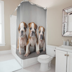 Cute Bulldog Puppies   Dog Lovers Gift