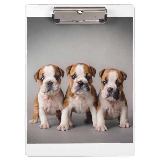 Cute Bulldog Puppies | Dog Lovers Gift Clipboard (Front)