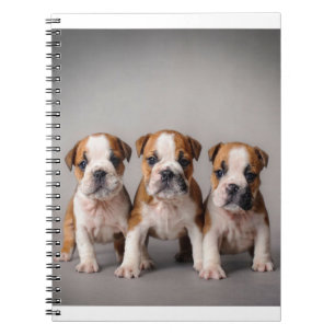 Cute Bulldog Puppies   Dog Lovers Gift Notebook