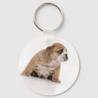 Cute bulldog puppy key ring