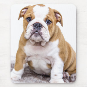 Cute Bulldog Puppy Sitting Down Mouse Pad