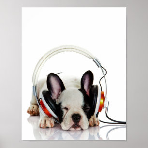 Cute Bulldog Sleeping English Bulldog Lover Poster