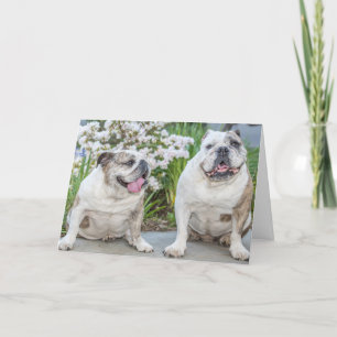 Cute Bulldogs Happy Birthday Personalized Card