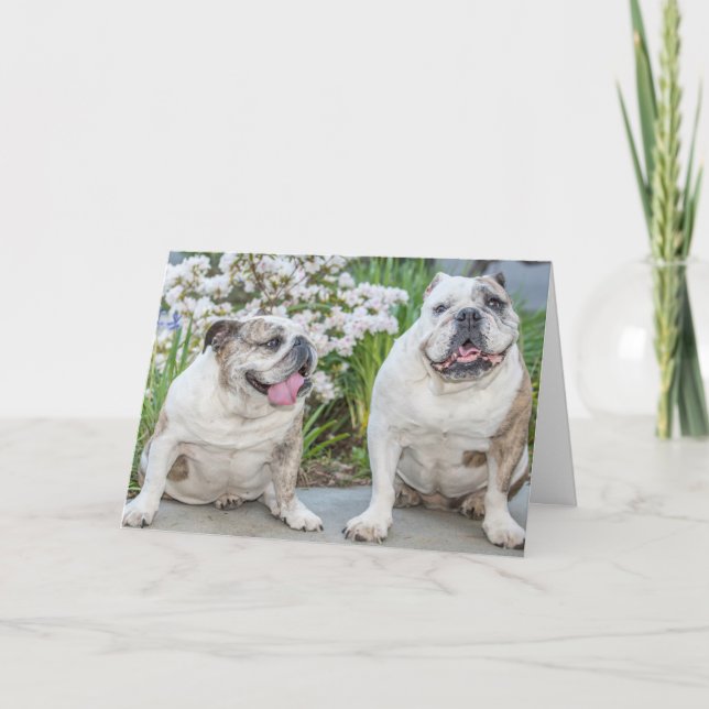 Cute Bulldogs Happy Birthday Personalized Card (Front)