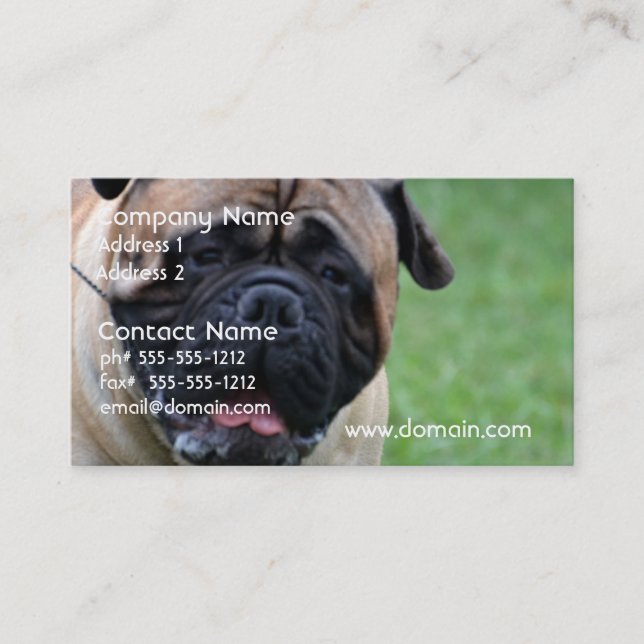 Cute Bullmastiff Business Card (Front)