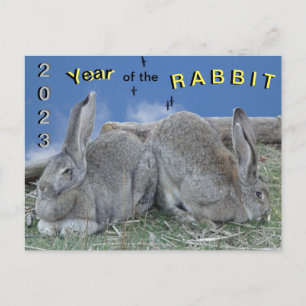 Cute Bunnies 2023 Année de la carte postale Rabbit