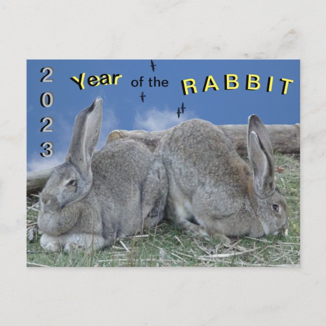 Cute Bunnies 2023 Année de la carte postale Rabbit (Devant)