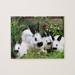Cute Bunnies Puzzle