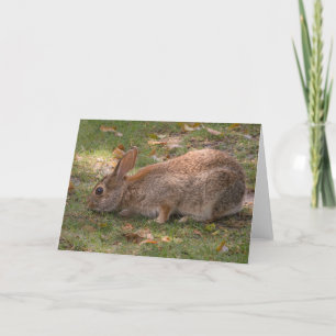 Cute Bunny Holiday Card