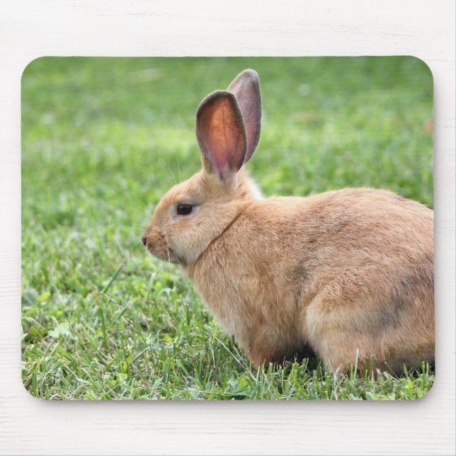 Cute Bunny Mouse Pad (Front)