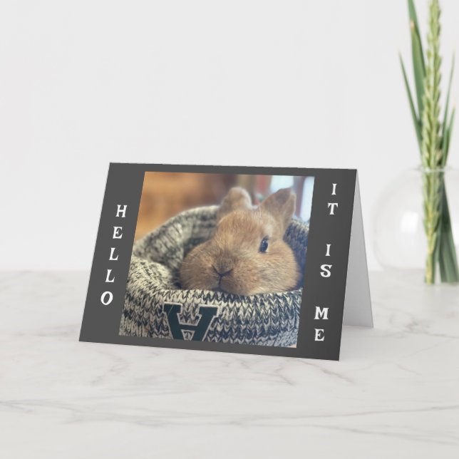 *CUTE BUNNY* PEAKING OUT TO SAY MERRY CHRISTMAS HOLIDAY CARD (Front)
