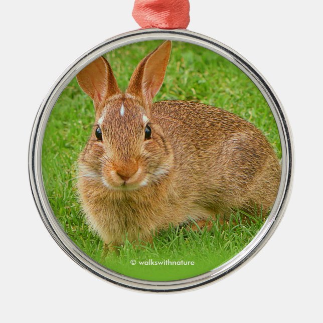 Cute Bunny Rabbit Chewing Greens on Golf Fairway Metal Ornament (Front)