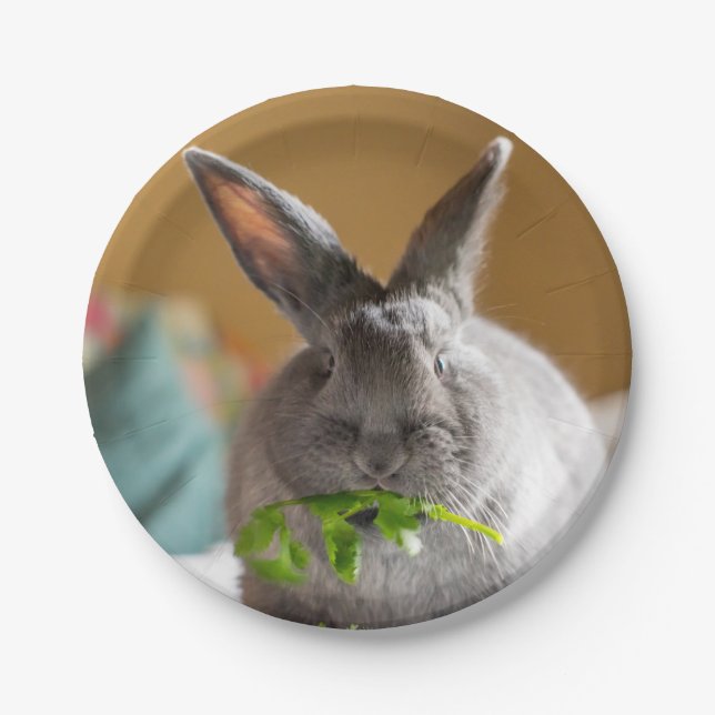 Cute Bunny Rabbit Eating Salad Paper Plates (Front)