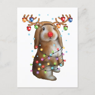 Cute Bunny Rabbit Funny Christmas Holiday Gifts Postcard