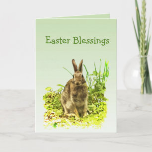 Cute Bunny Rabbit in Grass Easter Card