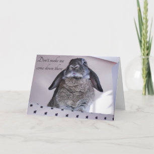 Cute Bunny Rabbit Note Greeting Card