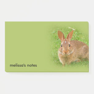 Cute Bunny Rabbit on the Golf Green Post-it Notes