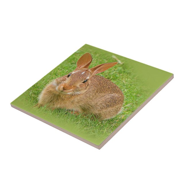 Cute Bunny Rabbit on the Golf Green Tile (Side)