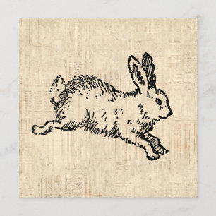 Cute Bunny Rabbit Vintage Illustration Script Art Invitation