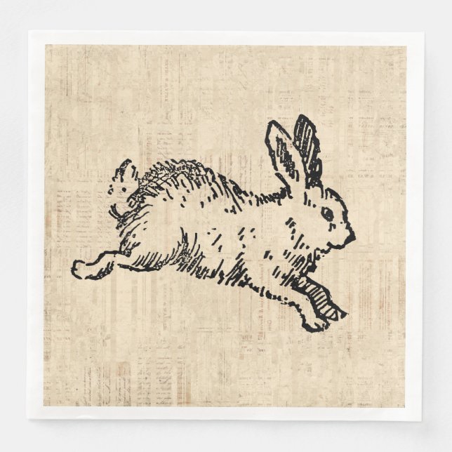 Cute Bunny Rabbit Vintage Illustration Script Art Napkin (Front)