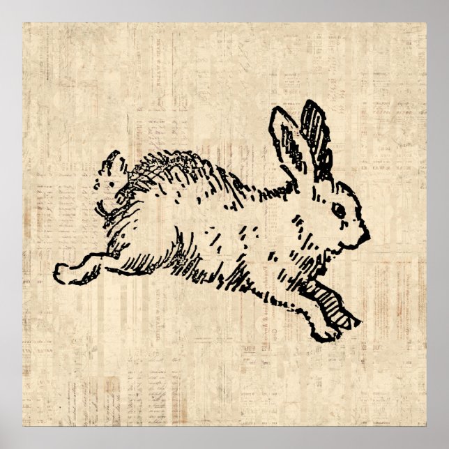 Cute Bunny Rabbit Vintage Illustration Script Art Poster (Front)