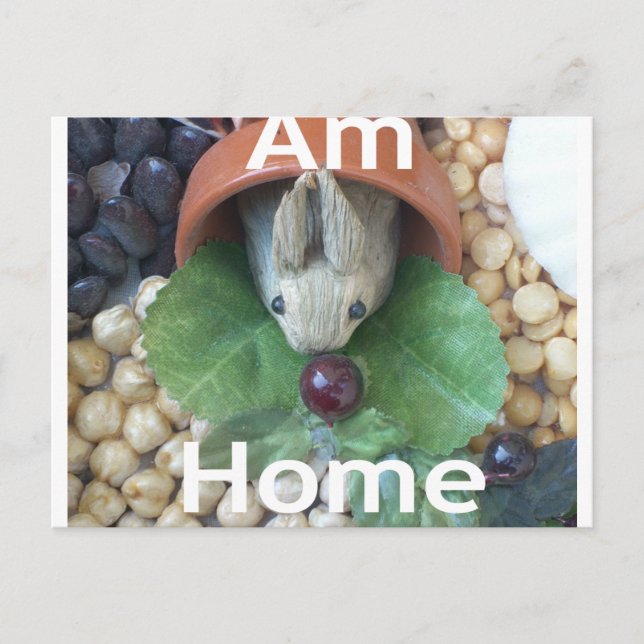 Cute Bunny Snacking Postcard (Front)