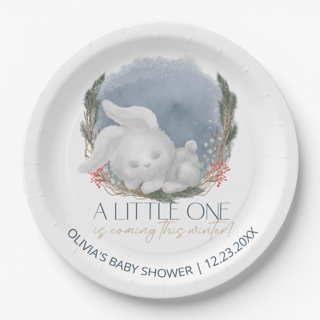 Cute Bunny Snowly Winter Baby Shower Paper Plate (Front)
