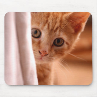 Cute Butterscotch Kitten Mouse Pad