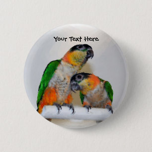 Cute Caique Parrot Pair Animal Button