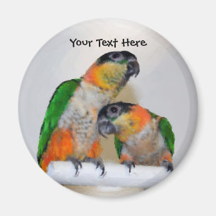 Cute Caique Parrot Pair Animal Magnet