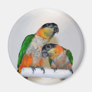 Cute Caique Parrot Pair Watercolor Magnet