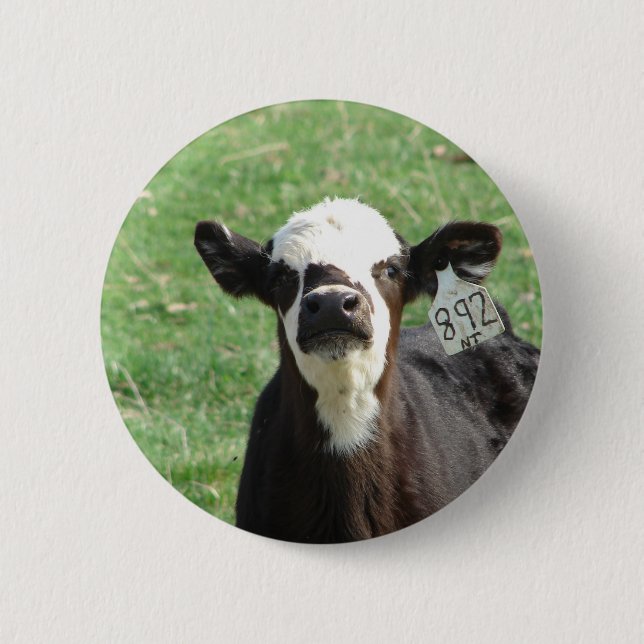 Cute Calf 2 Inch Round Button (Front)