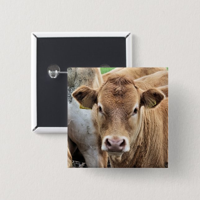 CUTE CALF 2 INCH SQUARE BUTTON (Front & Back)
