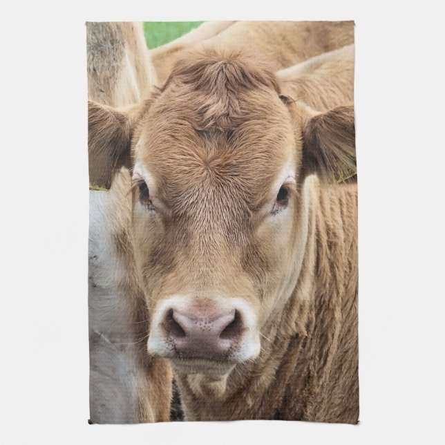 CUTE CALF KITCHEN TOWEL (Vertical)