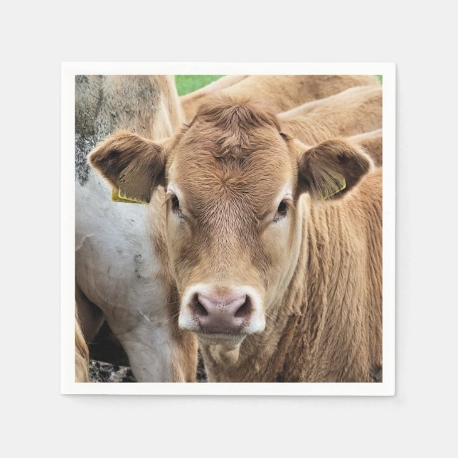 CUTE CALF NAPKIN (Front)