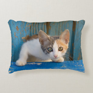 Cute Calico Cat Kitten Funny Curious Eyes Photo -/ Accent Pillow