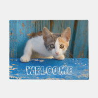 Cute Calico Cat Kitten Funny Curious Eyes  Welcome