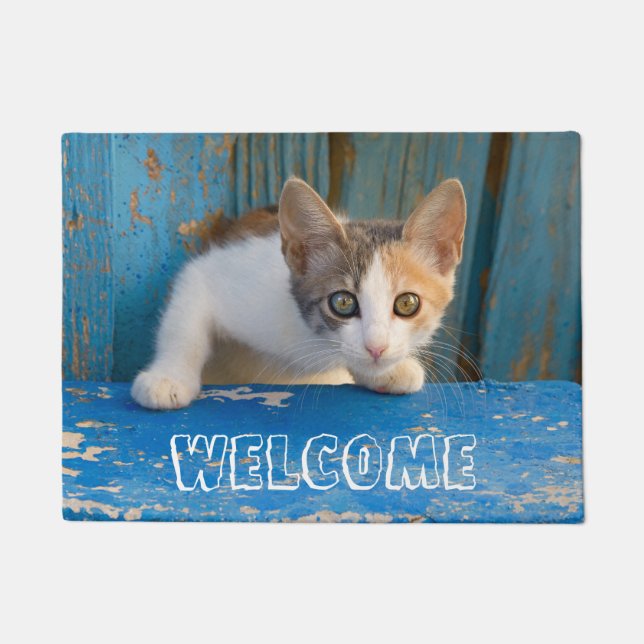 Cute Calico Cat Kitten Funny Curious Eyes  Welcome Doormat (Front)