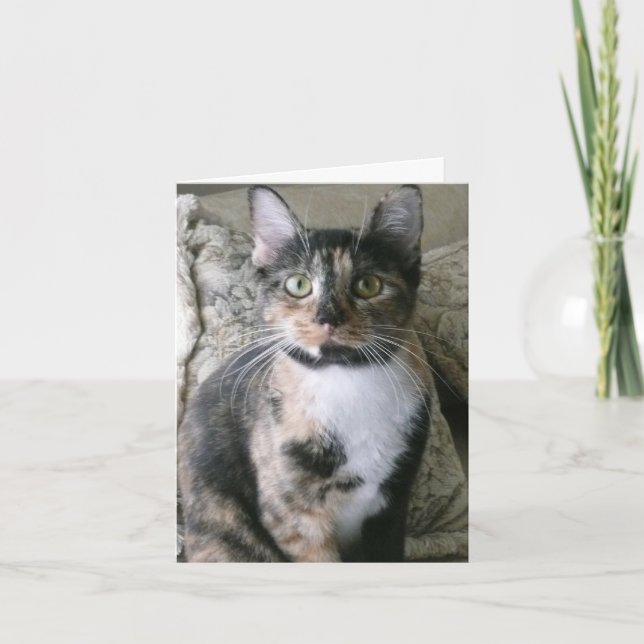 Cute Calico Cat, Purrfect Birthday Card (Front)