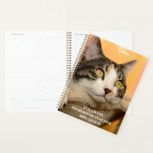 Cute Calico Cat School Class cat planner