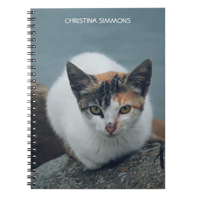 Cute Calico Chat Carnet personnalisé (Devant)