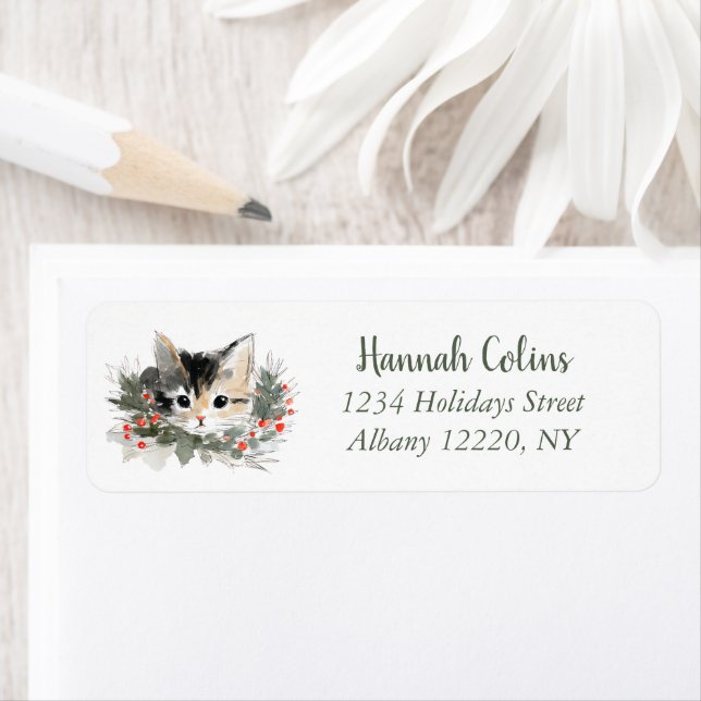 Cute Calico Kitten Winter Holiday (Insitu)