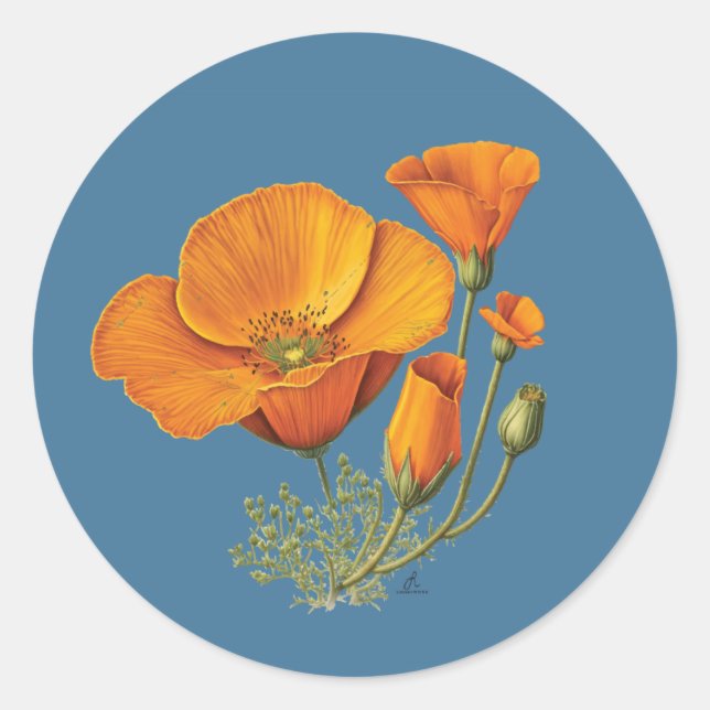 Cute California Poppy Flower Vintage Sticker Sheet (Front)